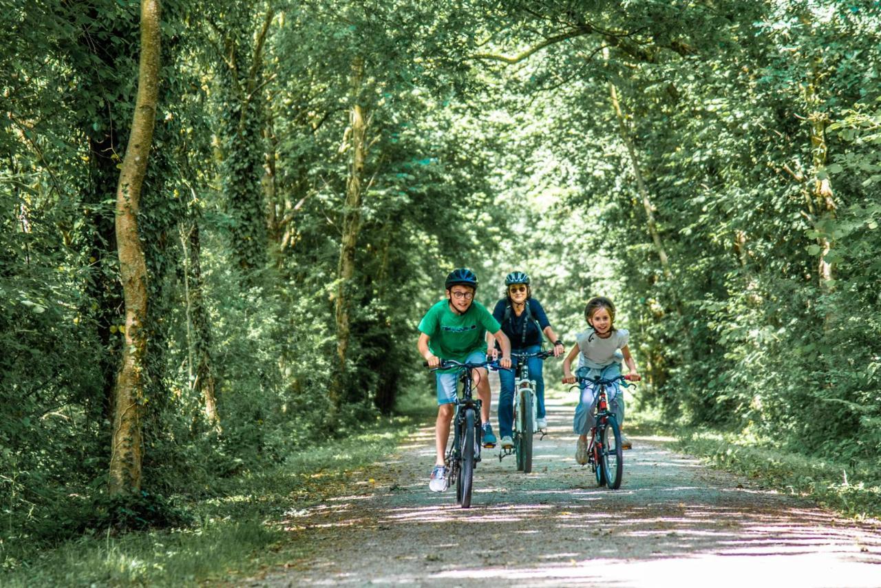 Gite Martin Pecheur Au Coeur De La Nature Moncoutant Exterior foto